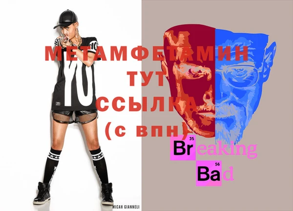 индика Вязьма