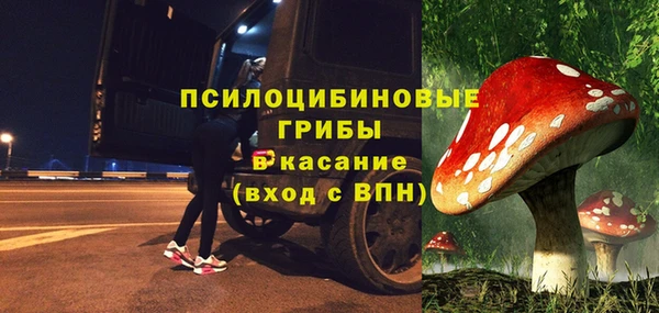 индика Белоозёрский