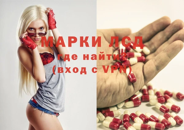 индика Белоозёрский