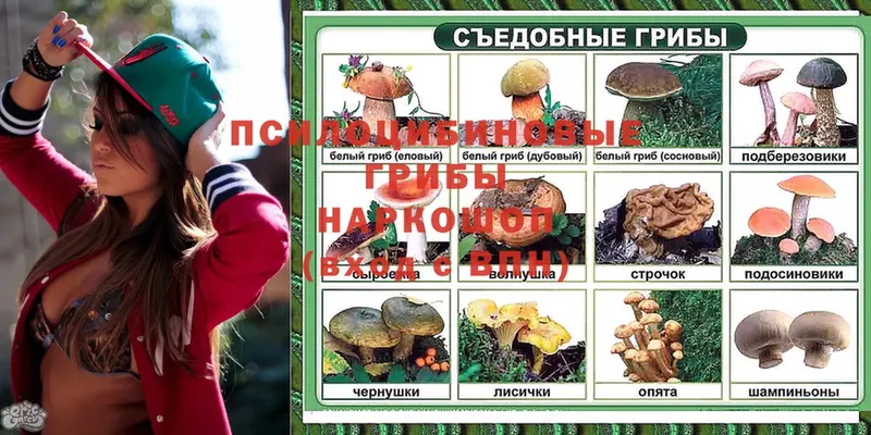 Псилоцибиновые грибы мицелий  Выкса 