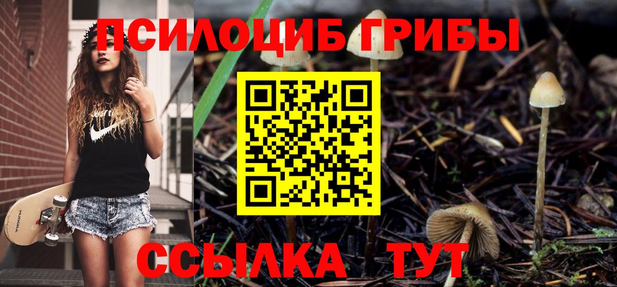 Галлюциногенные грибы MAGIC MUSHROOMS Выкса