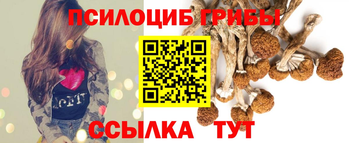 Выкса  Галлюциногенные грибы мицелий  Вход с VPN  Псилоцибиновые грибы Magic Shrooms 